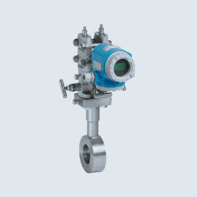 差压流量计（品牌：E+H）