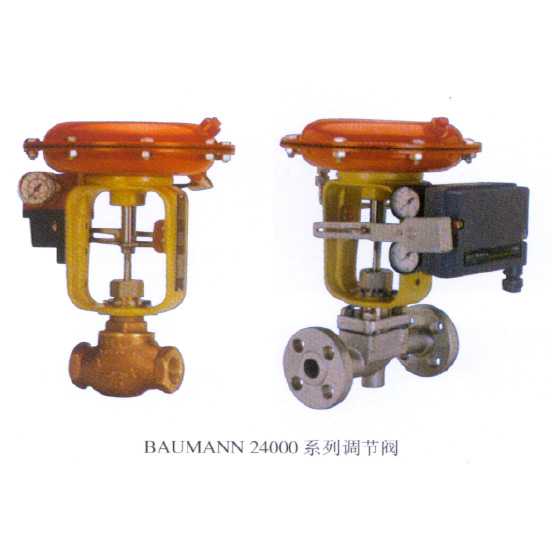 小流量直通阀-24000系列（品牌：fisher）